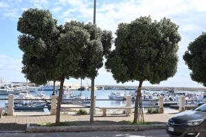 Adriatic Breeze Rooms
