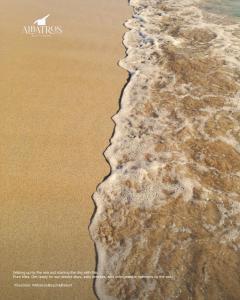 Albatros Beach & Resort