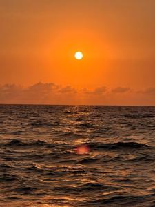 Artist Tiny Home Near Surf Town Fast WiFi Netflix Pet Friendly