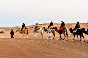 Luxury Desert Camps