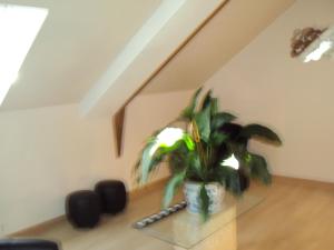 Chambre lit double avec SDB et WC privés