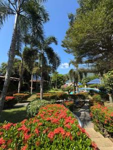Blue Privacy Resort