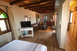 suite majorelle