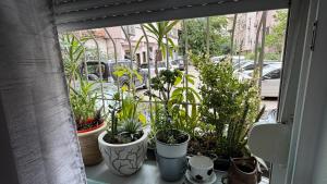 Xhuliza House-Cozy Apartament in Tirana