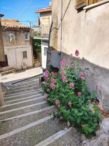 Casa Soratte