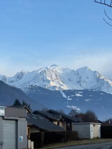 Nid face au MontBlanc - 55m2 de charme