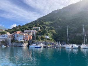 Affittacamere L’ Agrumeto