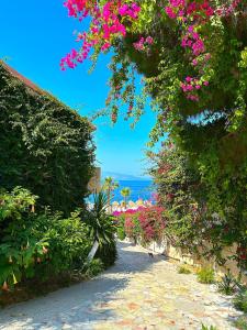 Panoramic SeaView, Duplex APT Bougainville Bay