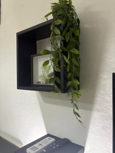 Genova 3 Pet Friendly Flat img14