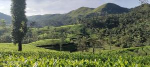 Misty Crest Cottage Vagamon