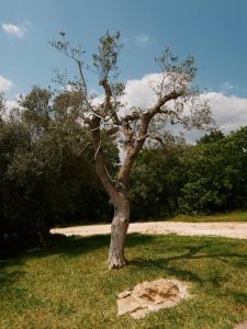 Villa Aurora - Ostuni