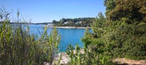 Apartman Diana,free parking