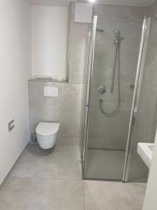Apartment in singen city center, just built