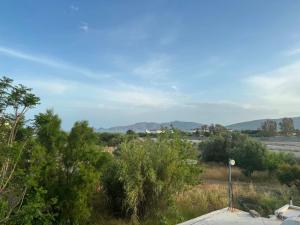 ZOGRAFOS 1