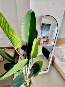 Zoe Seafront Studio
