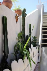 The FlowHost