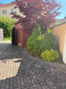 Apartmán Majerův dvůr