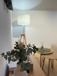 Modern Design Apartment Salona I Stylish & Comfortable Solin I Split