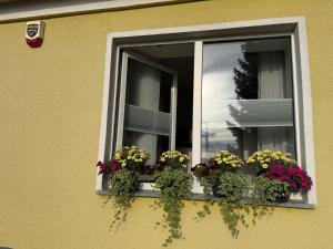Apartament w Sercu Gór z ogrodem