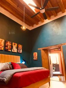 Loft del Perro Azul in Centro Historico
