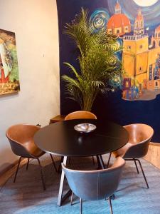 Loft del Perro Azul in Centro Historico