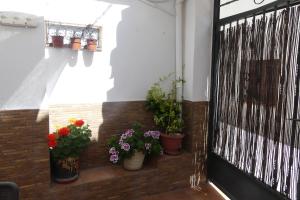 El patio de Marcos