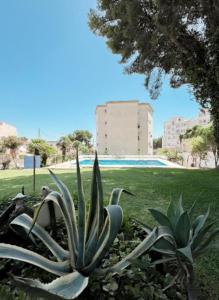 La Dorada Studio Torremolinos
