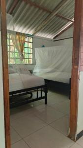 Coco Encantado Eco Hostal Camping