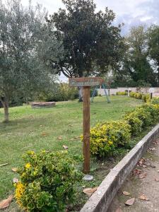 Roma nel verde