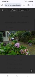 Blooming Dale Home Stay