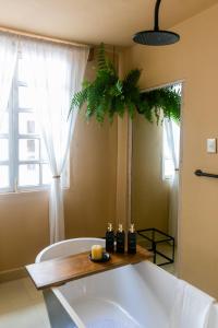 Habibi Hotel and SPA