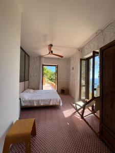 Sea View - Private House with Garden in Pisciotta