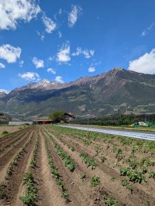 Valentinhof - organic farm