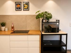 Hafenapartments Segelschule Mondsee