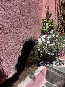 Is Domus img13