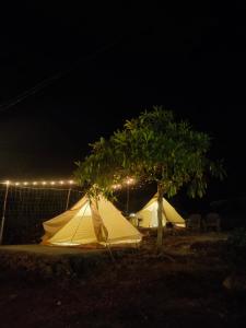 Tribu Kihud "Experience Simple Living"