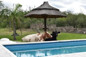 Casa de Campo Los Pinares
