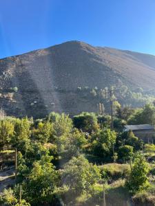 VALLE DEL ELQUI,Diaguitas, Vicuña
