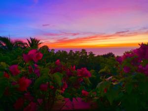 Best Views in Zona Romantica - Vallarta Style Living