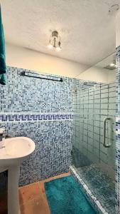 House downtown 4bedrooms, 3Bathrooms, with pool, jacuzzi and views