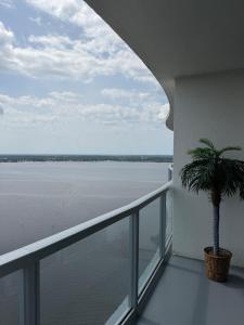 oasis grand vistas 29th terraza piscina KING