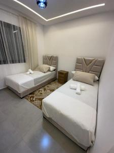 Spacious Modern Apartment