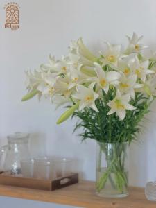 Belong Stay Cửa Lò