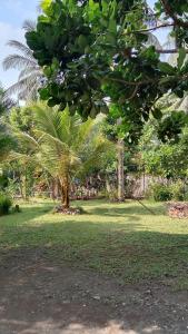 Susan Homestay