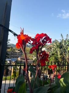 Baloos Family homestay