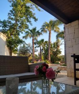 AllOmbra del Gelso, trullo con piscina