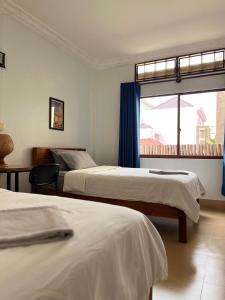 Sorya Guesthouse & Dolphin Tours
