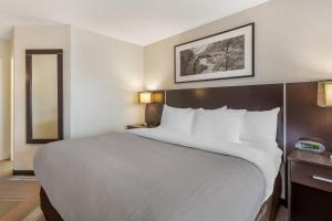 Quality Hotel