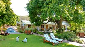 Montagu Vines Guesthouse