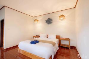 Paradise Palm Beach Bungalows and Dive Center